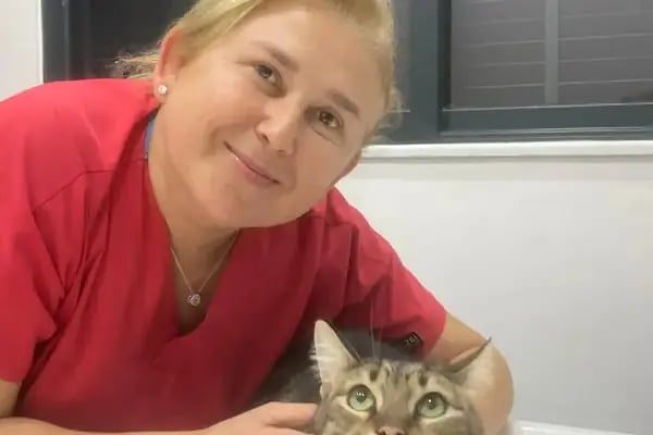 Ünlü Veteriner Kliniği - Resim 10