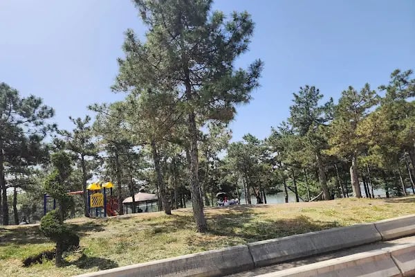 Bayındır Gölü Ankara - Resim 12