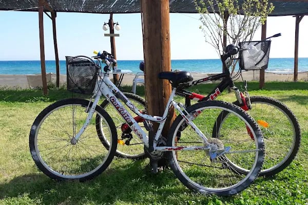 Deniz Beach Cafe(Alice Beach Park) - Resim 13