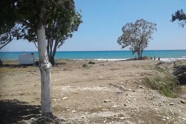 Deniz Beach Cafe(Alice Beach Park) - Resim 6