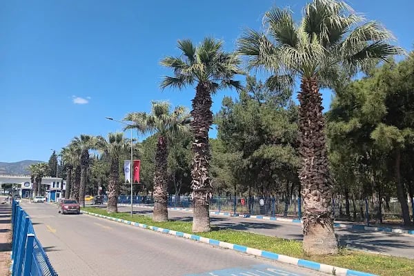 Ege Üniversitesi - Resim 13
