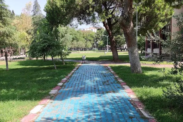 Ege Üniversitesi - Resim 15