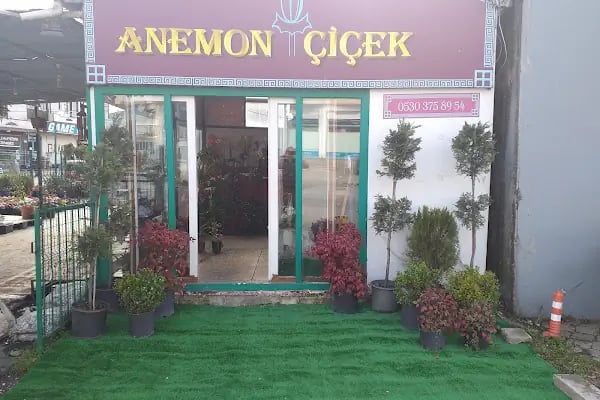 Anemon Çiçek - Resim 1