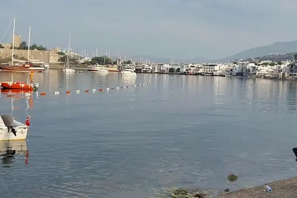 Bodrum kumbahçe - Resim 1