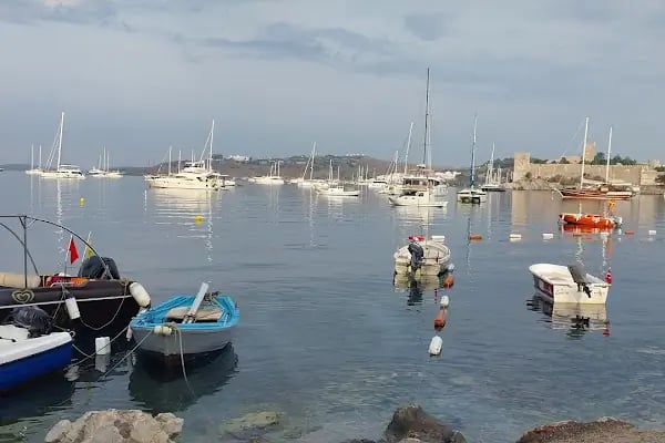 Bodrum kumbahçe - Resim 2