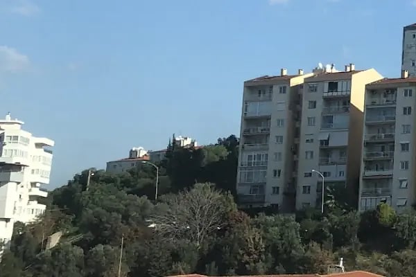 Cetin Emeç Mahalle Muhtarlığı Yeni - Resim 1