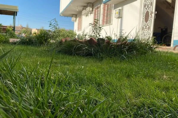 Özel Ceylanpınar İlgi Özel Eğitim Ve Rehabilitasyon Merkezi - Resim 2