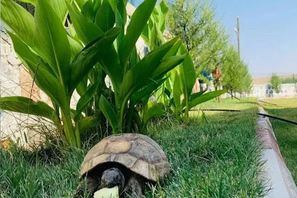 Özel Ceylanpınar İlgi Özel Eğitim Ve Rehabilitasyon Merkezi - Resim 17