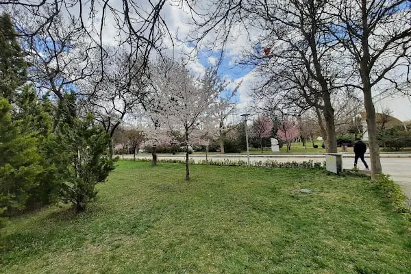Ankara Üniversitesi Olimpik Yüzme Havuzu - Resim 14