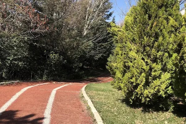Ankara Üniversitesi Olimpik Yüzme Havuzu - Resim 17