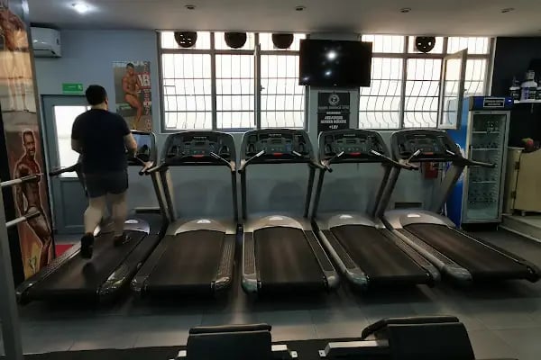 Santa Monica GYM - Güneşli - Resim 6