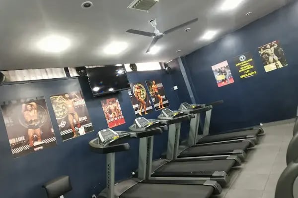 Santa Monica GYM - Güneşli - Resim 7