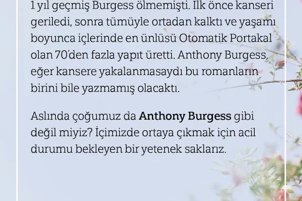 Diyarbakır Psikolog, Pedagoji, Psikiyatri - Resim 19