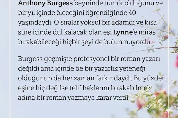 Diyarbakır Psikolog, Pedagoji, Psikiyatri - Resim 17