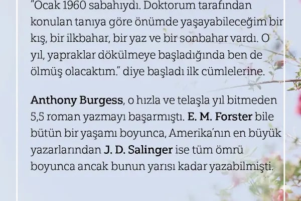 Diyarbakır Psikolog, Pedagoji, Psikiyatri - Resim 16