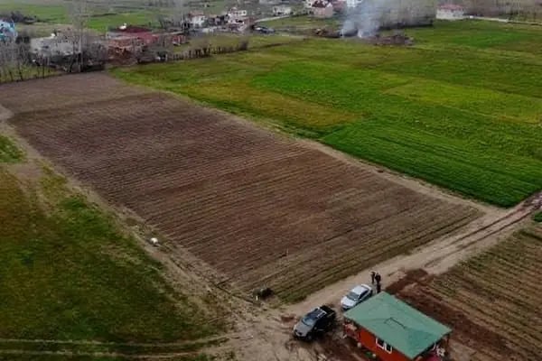 19 Mayıs Bağ Evi - Resim 2