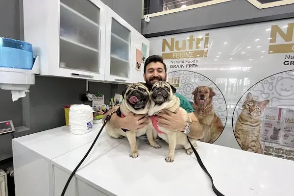 Animal Love Veteriner Kliniği - Resim 6