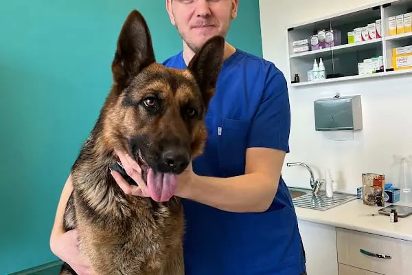 Küçükçekmece Pet ve Kuş Veteriner Kliniği - Resim 2
