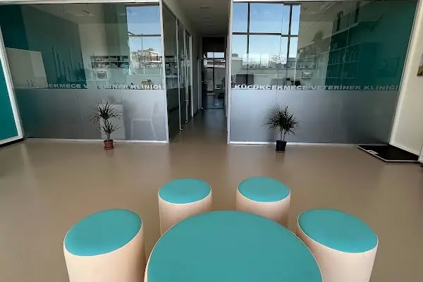 Küçükçekmece Pet ve Kuş Veteriner Kliniği - Resim 3