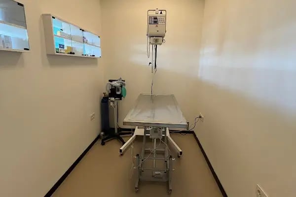 Küçükçekmece Pet ve Kuş Veteriner Kliniği - Resim 16
