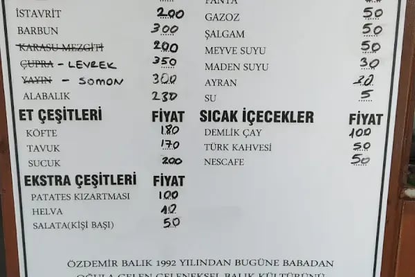 Özdemir Balik - Resim 15