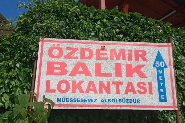 Özdemir Balik - Resim 18