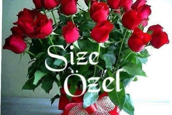 YENİKENT ÇİÇEKÇİLİK - Resim 5