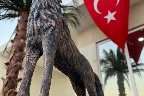 Valide Sultan Termal Otel - Resim 8