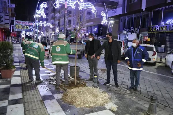 Şair Şevket Mahalle Muhtarliği - Resim 16