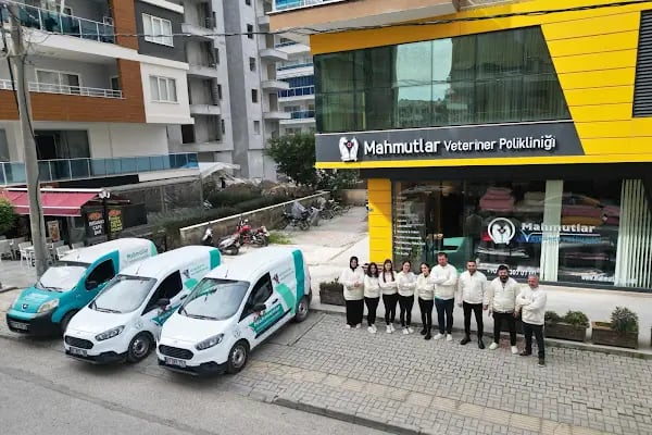 Mahmutlar Veteriner Polikliniği - Resim 8