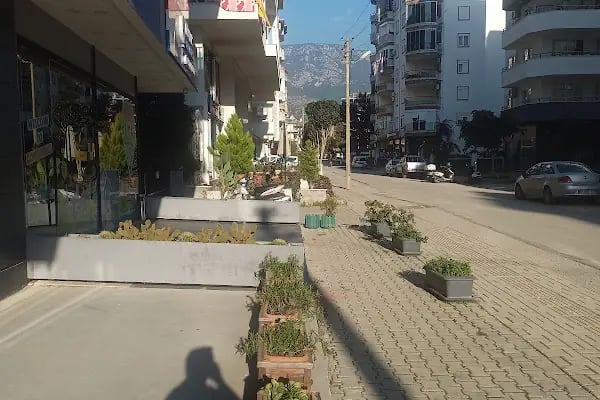Mahmutlar Veteriner Polikliniği - Resim 16