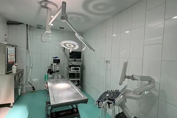 Mahmutlar Veteriner Polikliniği - Resim 4