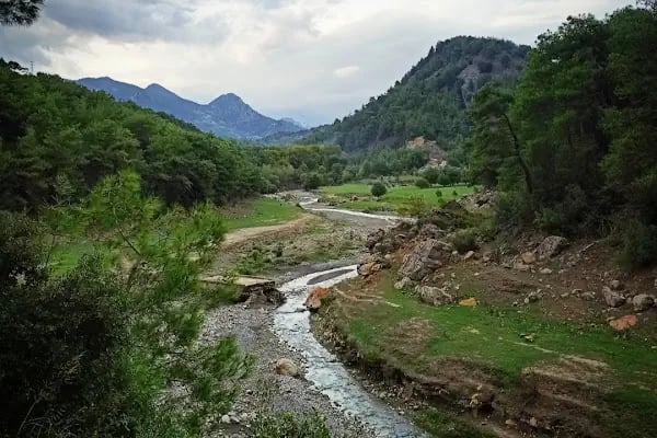 Dağılcak - Resim 8
