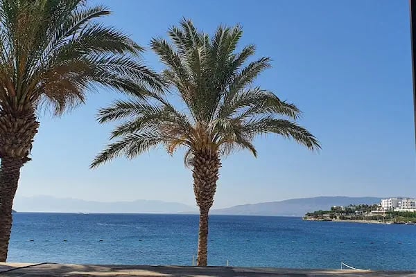 Mio Mare Bodrum - Resim 19
