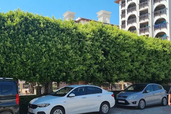 Alanya Rent a Car - Resim 11