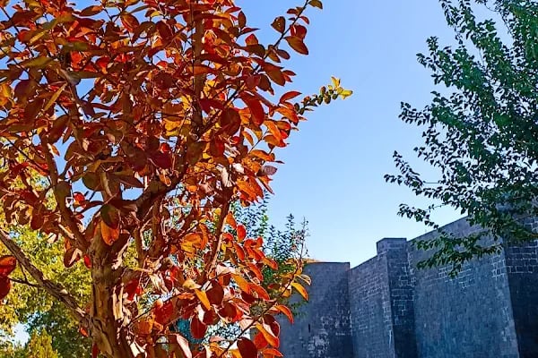 Koşuyolu Parkı - Resim 10