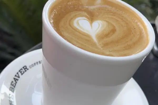The Beaver Coffee Shop 4X4 - Resim 8