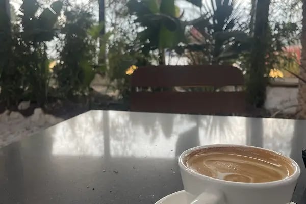 The Beaver Coffee Shop 4X4 - Resim 6