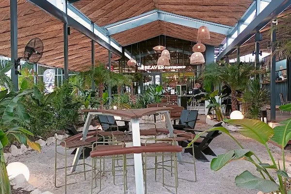 The Beaver Coffee Shop 4X4 - Resim 9