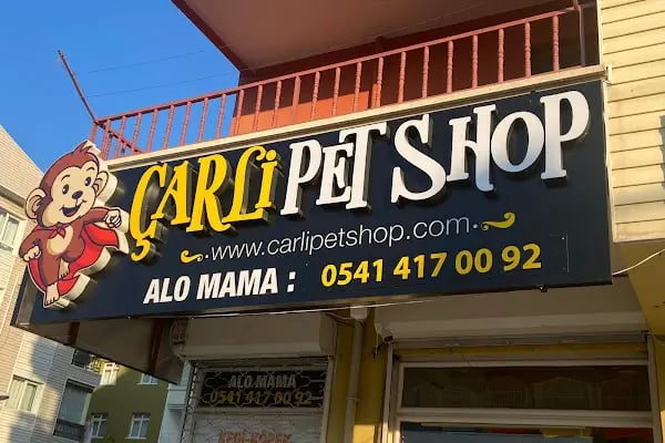 ÇARLİ PETSHOP - Resim 1