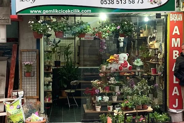 Gemlik Çiçekçilik - Resim 2