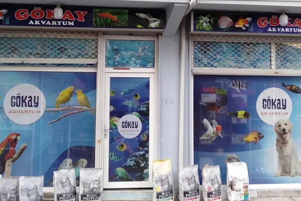 Bursa Cihan Akvaryum &amp; Petshop - Resim 13