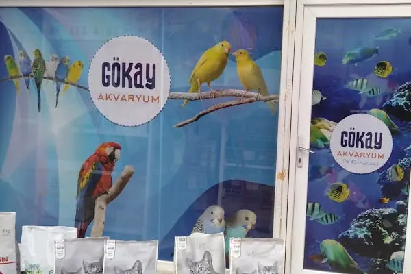 Bursa Cihan Akvaryum &amp; Petshop - Resim 15
