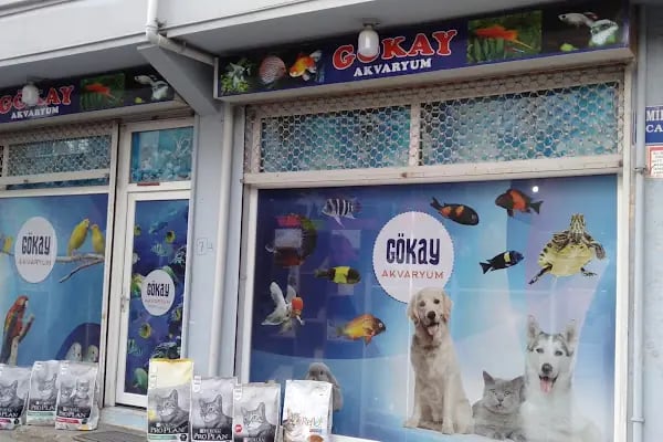 Bursa Cihan Akvaryum &amp; Petshop - Resim 9