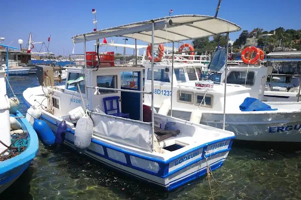 BODRUM gümüşlük - Resim 9