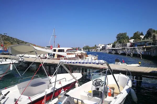 BODRUM gümüşlük - Resim 12
