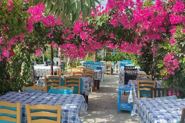 BODRUM gümüşlük - Resim 14