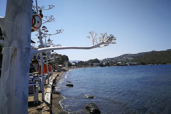 BODRUM gümüşlük - Resim 10