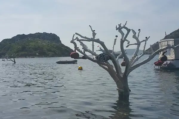 BODRUM gümüşlük - Resim 20