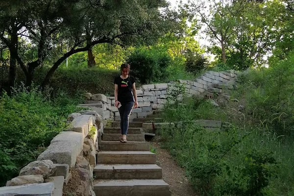 Hacettepe Üniversitesi Sıhhiye Yerleşkesi - Resim 14
